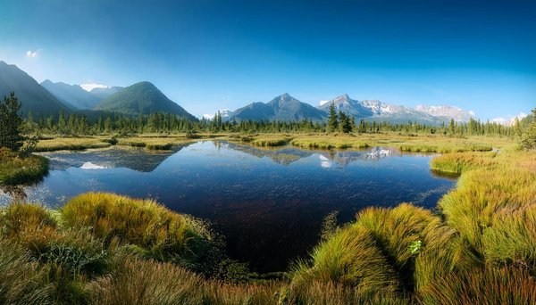 Une croisière à la découverte de la biodiversité des Galapagos